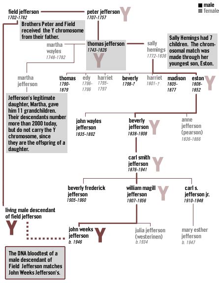 test that happened in thomas jeffersons family that impacted in|jefferson dna blood test results.